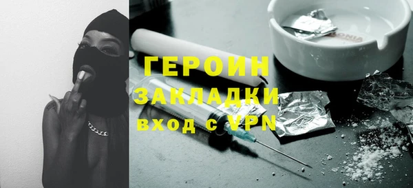 прущие грибы Приозерск