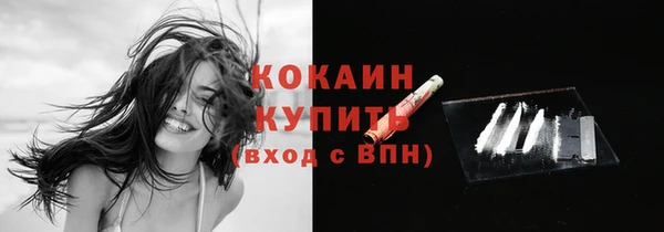 прущие грибы Приозерск