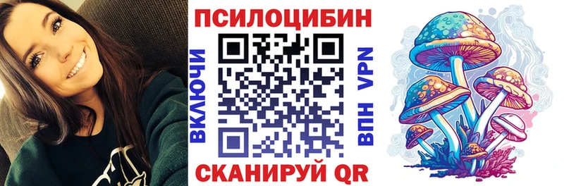 где можно купить   Сельцо  Галлюциногенные грибы Psilocybe 